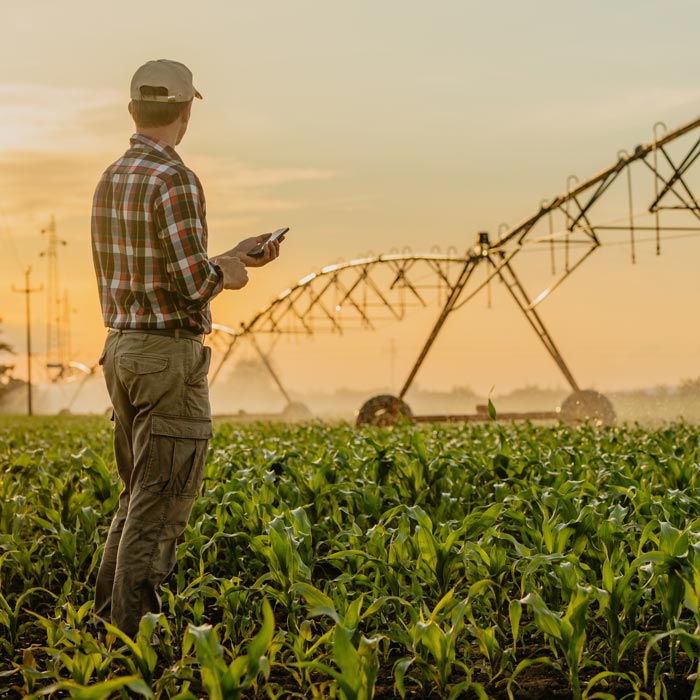 man looking at industrial irrigation system